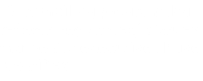 &nbsp;A compiling program that reflects key strategic issues that senior executives have identified